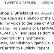Archbishop Vigano Writes Letter to Ex Cardinal McCarrick