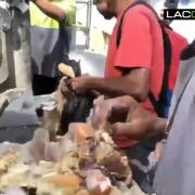 Venezuela, alimentandose con comida de la basura.