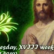 HOMILIES WEDNESDAY 08072019 SUBS -