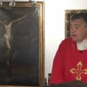 Today's homily | The Exaltation of the Holy Cross | 09.14.2020 | Fr. Santiago Martin FM
