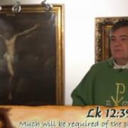Homily, Wednesday of the Twenty Ninth Week in Ordinary Time | Fr. Santiago Martin FM | 10.21.2020
