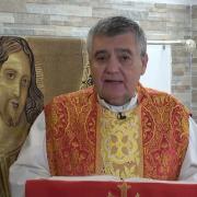 Homilía de hoy | Memoria de San Ireneo, obispo y mártir  | 28-06-2024 | Pbro. Santiago Martín, FM