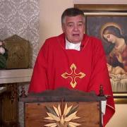 Homilía de hoy | San Josafat, obispo y mártir | 12-11-2021 | P. Santiago Martín FM