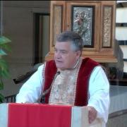 Homily of Today | The Passion of Saint John The Baptist | 08/29/2023 | Rev. Santiago Martín FM