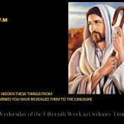 Homily of Today | Wednesday of the Fifteenth Week in Ordinary Time|7/13/2022|Rev. Santiago Martin FM