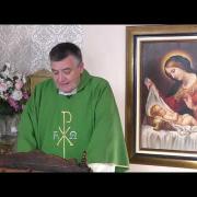 Today's Homily | Saturday of the Third Week in Ordinary Time | 01/29/2022 | Rev. Santiago Martin FM