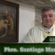 Homilía de Hoy │San Martín de Tours, obispo│11-11-2022 │P. Santiago Martín, FM