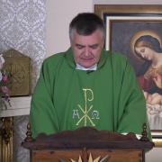 Today's Homily | Tuesday of the Fourth Week in Ordinary Time | 2/1/2022 | Rev. Santiago Martin FM
