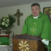 Today's Homily | Fifteenth Sunday in Ordinary Time | 07.11.2021  Fr. Santiago Martin