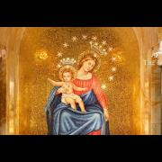 Homily │Memorial of Our Lady of the Rosary │ 10.07.2023│ Rev. Fr. Santiago Martin, FM