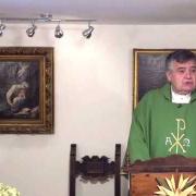Today's homily | Wednesday of the First Week in Ordinary Time | Fr. Santiago Martin FM | 01.13.2021