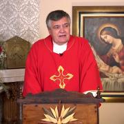 Today's Homily | Saint Andrew | 11/30/2021 | Fr. Santiago Martin FM