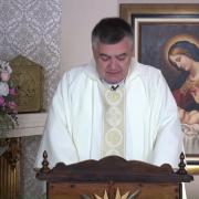 Today's Homily | Memorial of Saint John Bosco, priest | 01/31/2022 | Rev. Santiago Martin FM