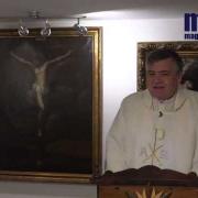 Homily, Our Lord Jesus Christt, King of the Universe | Fr. Santiago Martin FM | 11.22.2020