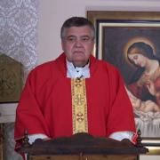 Today's Homily | Saint Polycarp Bishop, Martyr | 2/23/2022 | Rev. Santiago Martin FM