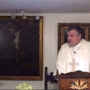 Today's homily | The Baptism of the Lord  | Fr. Santiago Martin FM | 01.10.2021