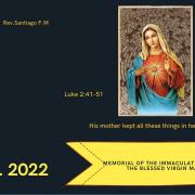 Homily of Today |  Immaculate Heart of the Blessed Virgin Mary | 6/25/2022 | Rev. Santiago Martin FM