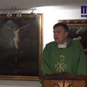 Homily, Saturday of the Thirty Second Week in Ordinary Time | Fr. Santiago Martin FM | 11.14.2020