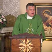 Today's Homily | Wednesday of the Thirtieth Week in Ordinary Time | 10/27/2021 | Fr. Santiago Martin