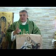 Homily of Today | Twentieth Sunday in Ordinary Time | 08/20/2023 |Rev. Santiago Martín FM
