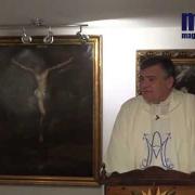 Homily, The Presentation of the Virgin Mary | Fr. Santiago Martin FM | 11.21.2020