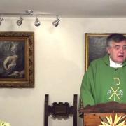 Today's homily | Thursdayof the First Week in Ordinary Time | Fr. Santiago Martin FM | 01.14.2021