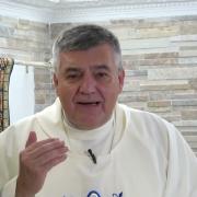 Homilía de Hoy|San Juan Crisostomo, obispo y doctor de la Iglesia| 13-9-2023| P. Santiago Martín, FM
