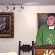 Today's homily | Wednesday of the Seccond Week in Ordinary Time | Fr. Santiago Martin FM |01.20.2021