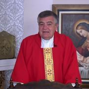 Homilía de Hoy | Fiesta de la Exaltación de la Santa Cruz | 14-09-2022| P. Santiago Martín