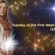 Homily of Today | Tuesday Of The First Week Of Advent   | 11/29/2022 | Rev. Santiago Martín FM