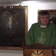 Homily, Friday of the Thirty Third Week in Ordinary Time | Fr. Santiago Martin FM | 11.27.2020