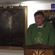 Homily, Thirty Third Sunday in Ordinary Time | Fr. Santiago Martin FM | 11.15.2020