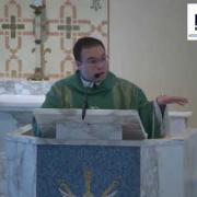Homilie| Thanksgiving Day 11.26.20| Fr. Antonio Gutierrez FM| www.magnificat.tv