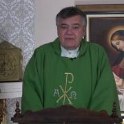 Today's Homily | Tuesday of the Second Week in Ordinary Time | 01/18/2022 | Rev. Santiago Martin FM