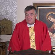 Homilía de hoy | Domingo De Ramos, Solemnidad 10-04-22 | Pbro. Santiago Martín FM | Magnificat.tv