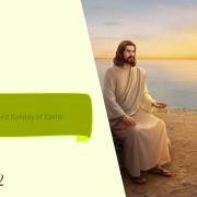 Homily of Today |Third Sunday of Easter | 5/1/2022 | Rev. Santiago Martin FM