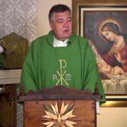Today's Homily | Tuesday of the Thirty-Third Week in O. T. | 11/16/2021 | Fr. Santiago Martin FM