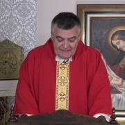 Today's Homily | Memorial of Saint Agnes, Virgin and Martyr | 01/21/2022 | Rev. Santiago Martin FM