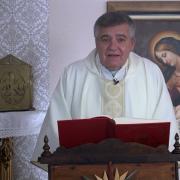 Homilía de Hoy │San Carlos Borromeo, obispo│04-11-2022 │P. Santiago Martín, FM