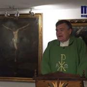 Homily, Moday of the Thirty Fourth Week in Ordinary Time | Fr. Santiago Martin FM | 11.23.2020