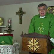 Today's Homily | Fourteenth Sunday in Ordinary Time | 07.04.2021 | Fr. Santiago Martin