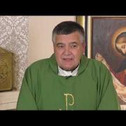 Today's Homily | Tuesday of the Fifth Week in Ordinary Time | 2/8/2022 | Rev. Santiago Martin FM
