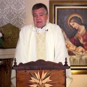 Today's Homily | Saint Elizabeth of Hungary, Religious | 11/17/2021 | Fr. Santiago Martin FM