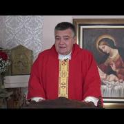 Today's Homily | St. Vincent Martyr | 01/22/2022 | Rev. Santiago Martin FM