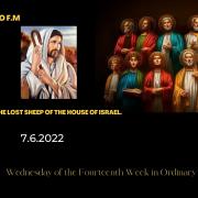 Homily of Today |Wednesday of the Fourteenth Week in Ordinary Time|7/6/2022 |Rev. Santiago Martin FM