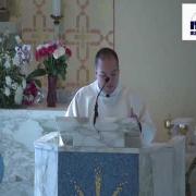 Homily| Friday of the Seventh Week of Easter 05.21.2021| Fr. Antonio Gutiérrez FM| www.magnificat.tv
