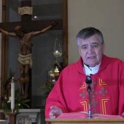 Homilía de hoy | San Ireneo, obispo y mártir | 28-6-2022 | Pbro. Santiago Martín FM