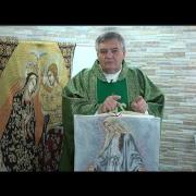 Homily | Twenty-second Sunday in Ordinary Time | 09-02-2023 | Rev. Santiago Martin, FM