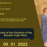 Homily of Today | The Visitation of the Blessed Virgin Mary | 5/31/2022 | Rev. Santiago Martin