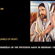 Homily of Today | Thursday of the Fifteenth Week in Ordinary Time| 7/14/2022|Rev. Santiago Martin FM